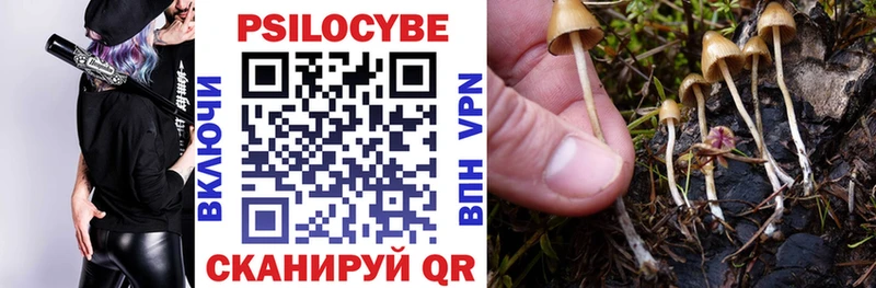 Галлюциногенные грибы мухоморы  Баймак 